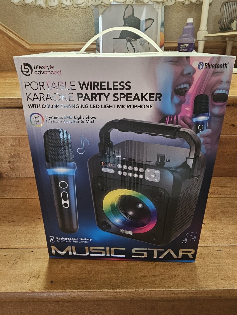 New portable wireless karaoke party speaker 🎤
